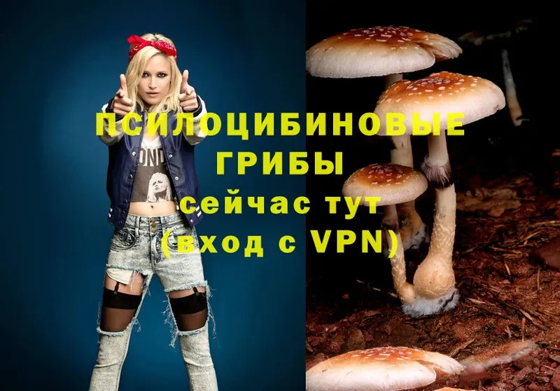 Псилоцибиновые грибы Magic Shrooms  Николаевск-на-Амуре 